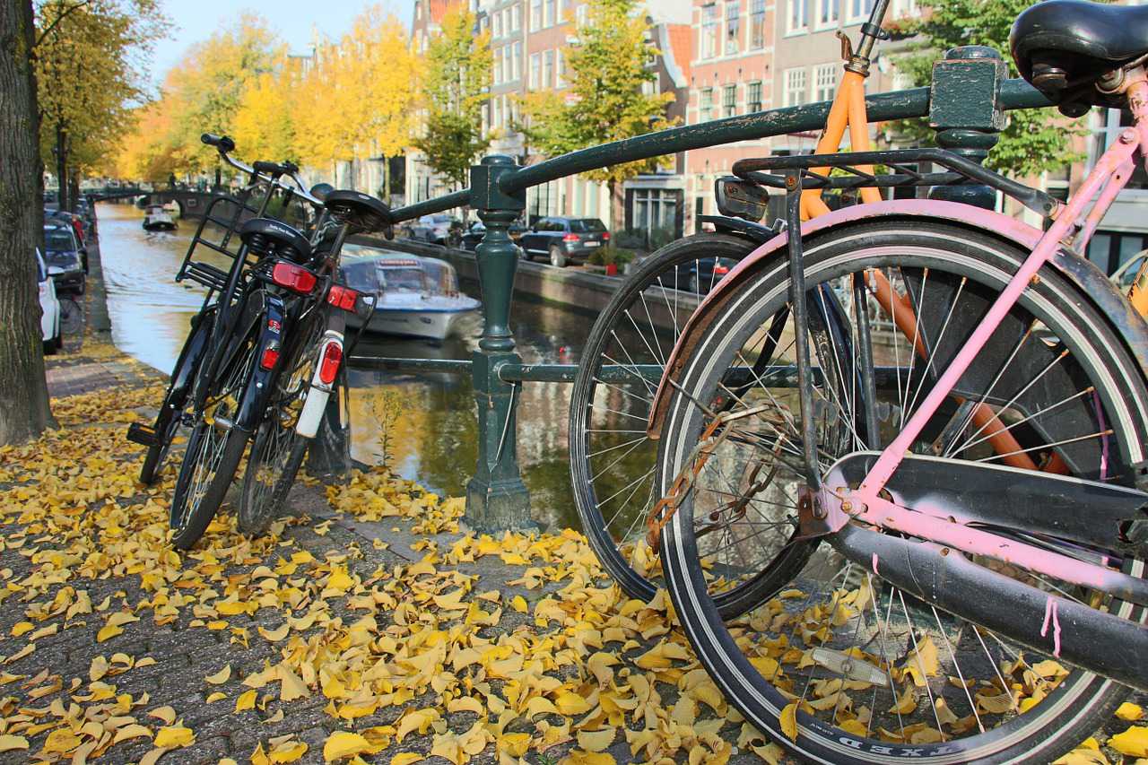 Amsterdam Autumn