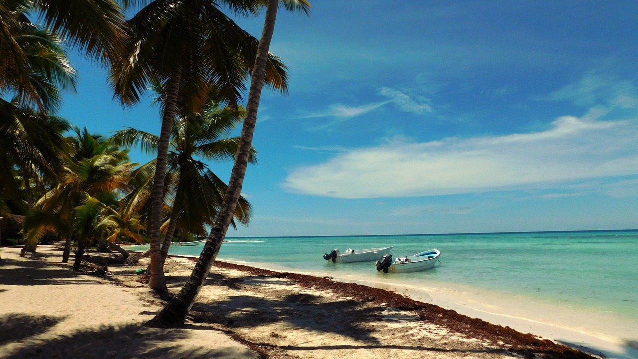 Saona Island