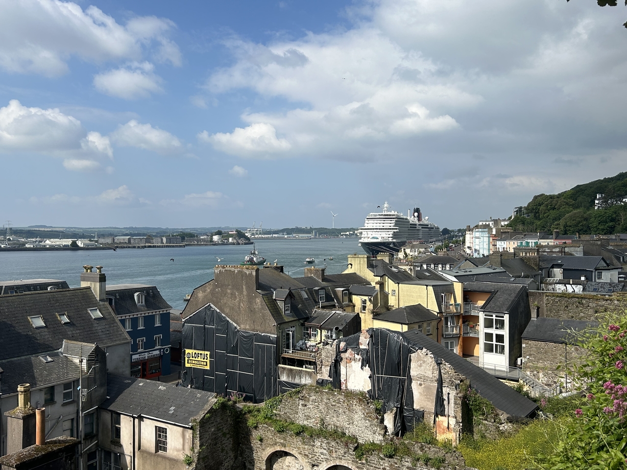 tmcobh-view