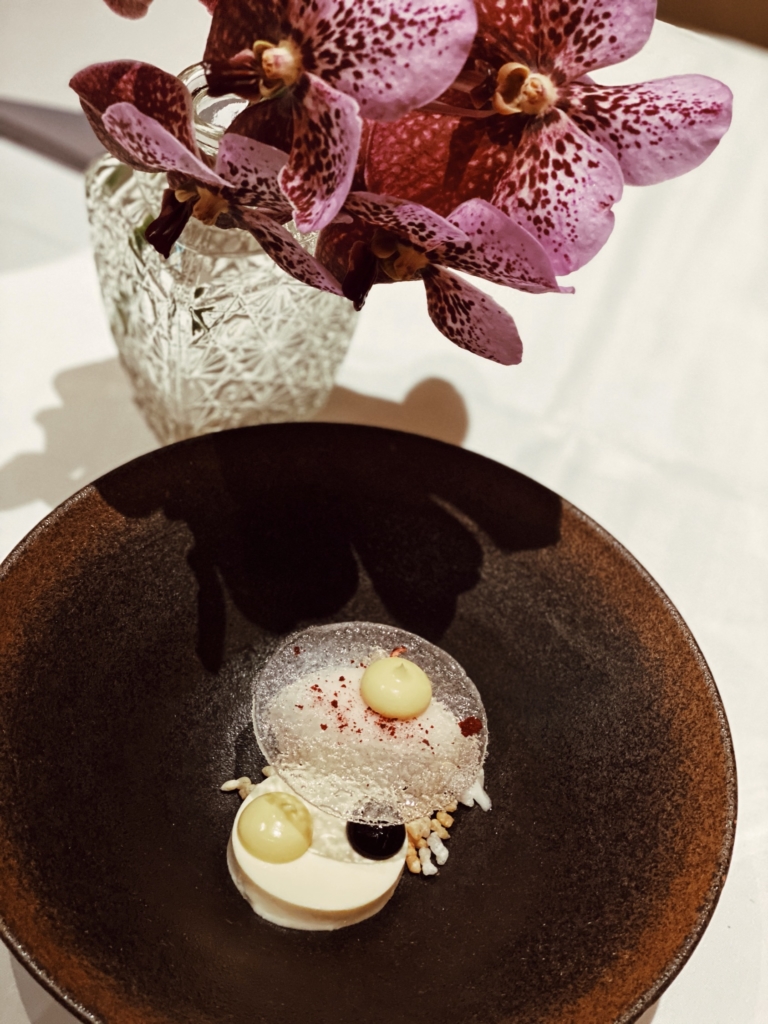 Unveiling Swiss Luxury – An In-Depth Journey Inspired by Https//www.thetravelmagazine.net/hotel-review-the-alpina-gstaad-switzerland/