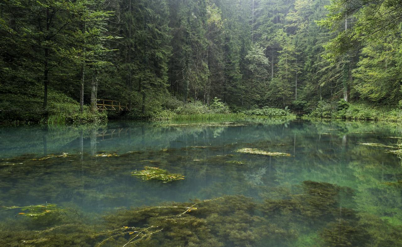 lakes-1 Gorki Kotar