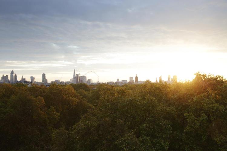 An In-Depth Exploration of London’s Timeless Luxury – Discovering Elegance at Https//www.thetravelmagazine.net/hotel-review-the-athenaeum-london-uk/